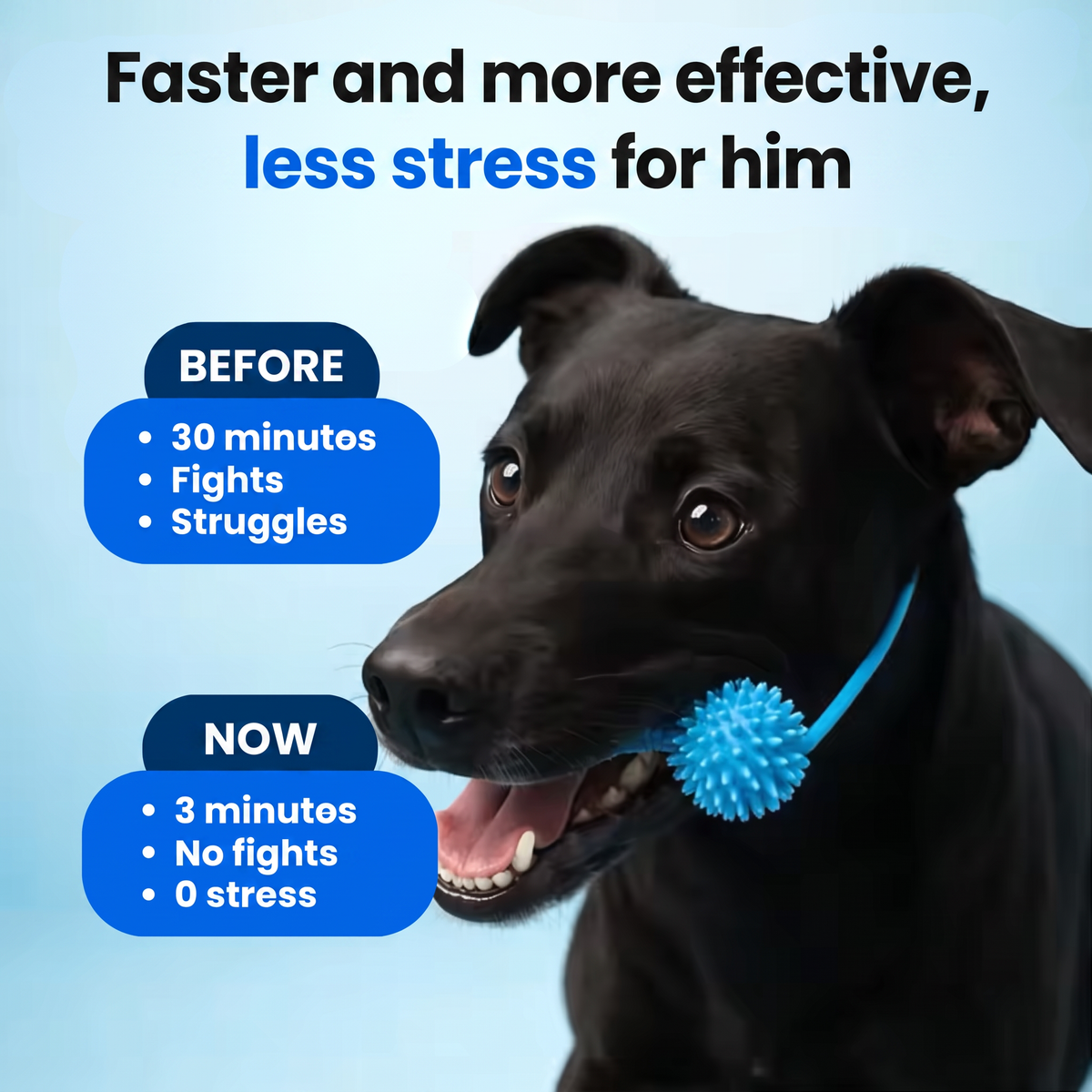 The No-Fuss Way To Keep Your Dog’s Teeth Cleaner