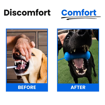 The No-Fuss Way To Keep Your Dog’s Teeth Cleaner